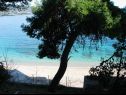 Appartements Lucky - 150m from the sea A1(3), SA2(2), A3(3), A4(2) Orebic - Péninsule de Peljesac  - plage