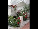 Appartements Vida with garden: A1(2+2) - Naranča, A2(2+2) -  Limun, A3(2+2) - Maslina, SA4(4) - Studio Mandula Orebic - Péninsule de Peljesac  - fleurs