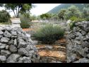 Maisons de vacances Sage - rustic dalmatian peace H(2+1) Trpanj - Péninsule de Peljesac  - Croatie  - détail