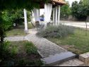 Appartements Pavilion - beautiful garden & comfortable: A1(5) Kampor - Île de Rab  - jardin (maison et environs)