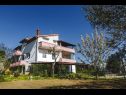 Appartements Davorka - with sea view: A1(4+1), A2(4+1) Kampor - Île de Rab  - maison