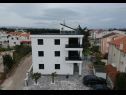 Appartements Ivan M - 20m to the beach: A1(4+1), A2(4+2), A3(4+2) Srima - Riviera de Sibenik  - maison