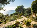 Maisons de vacances Ani - 30 m from beach : H(4+1) Maslinica - Île de Solta  - Croatie  - vue sur la mer (maison et environs)