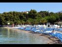 Appartements Vini- beautiful garden and terrase A4(4+2) Podstrana - Riviera de Split  - plage