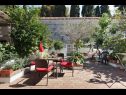 Appartements Ana - central with garden: A1(4) Split - Riviera de Split  - Appartement - A1(4): terrasse de jardin