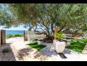 Maisons de vacances Bože - 10m from the sea: H(10+2) Drvenik Mali (Île de Drvenik Mali) - Riviera de Trogir  - Croatie  - jardin