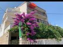 Appartements Per - 80 m from beach: SA2(2+1), A5(3), A6(2+1), A45(8), SA3(3), A7(2+1) Marina - Riviera de Trogir  - maison