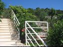 Appartements A1(2+2), A2(2+1) Vinisce - Riviera de Trogir  - verdure (maison et environs)