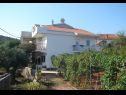 Appartements Slaven - 50 m from beach: A1(4+2), A2(2+1), A3(4+1) Vinisce - Riviera de Trogir  - maison
