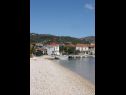 Maisons de vacances Dinko - 20 m from sea: H(4+1) Vinisce - Riviera de Trogir  - Croatie  - plage