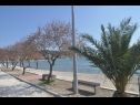 Appartements Antonija - fitness: SA1(2), A2(2+2), SA3(2+1), A4(2+2) Vinisce - Riviera de Trogir  - plage