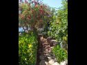 Appartements Josip - 5 m from beach: A1(6) Vinisce - Riviera de Trogir  - jardin