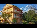Appartements Marino - with parking : A1(4+2), A2(4+2) Vinisce - Riviera de Trogir  - maison
