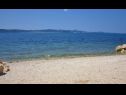 Appartements Sor - on the beach: SA1(2+1), A1(4+1), A2(2+2), A3(2+2) Bibinje - Riviera de Zadar  - plage