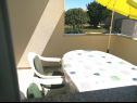 Appartements Fuzi - 50 m from sea: A1(2+1), SA4(2) Bibinje - Riviera de Zadar  - Appartement - A1(2+1): terrasse