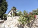 Appartements Vlatkica - 10 m from beach: A1 Vlatkica(4), A2 Lea(4) Maslenica - Riviera de Zadar  - maison