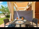 Appartements Bosko - 30m from the sea with parking: A1(2+1), SA2(2), A3(2+1), A4(4+1) Nin - Riviera de Zadar  - Appartement - A1(2+1): terrasse