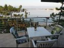 Appartements Ljilja - 10m from the sea with parking: A2(2+2), A3(2+2), A4(12) Nin - Riviera de Zadar  - Appartement - A2(2+2): vue de la terrasse