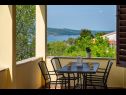 Appartements Mari - with view: A1(4) Novigrad - Riviera de Zadar  - maison