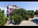 Appartements Pupa - nice family apartments: A1 Dora(4+1), A2 Mihael(4+1), A3 Tea(2+1) Petrcane - Riviera de Zadar  - maison