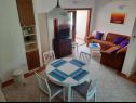 Appartements Kike - 60 meters from the beach: A1(4+1), A2(4+1), A3(4+1), SA1(2) Petrcane - Riviera de Zadar  - Appartement - A2(4+1): 
