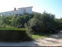 Appartements Vera - 150 m from sea: A1(4), SA2(2), SA3(2) Sukosan - Riviera de Zadar  - maison