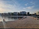 Appartements Mare - 20 m from beach: A1(4+4), A2(2+2), A3(2+2) Sukosan - Riviera de Zadar  - plage