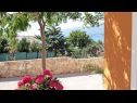 Maisons de vacances Anamaria - sea and mountain view: H(3+2) Vinjerac - Riviera de Zadar  - Croatie  - cour