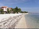 Appartements Monika - 10m from sea: A8(4+2), A11(4+2), A16(4+2), A17(4+2), A12(2+2), A13(2+2), A20(2+2), A21(2+2), SA14(2+1), SA15(2+1), SA22(2+1), A23(2+1) Vir - Riviera de Zadar  - plage