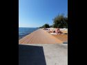 Appartements Petin - 5m from the sea: A1(2+2), A2(2+2) Zadar - Riviera de Zadar  - plage