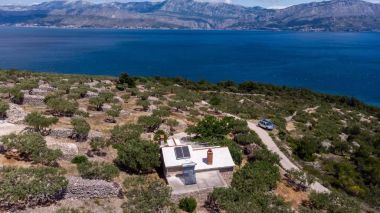 Maisons de vacances Branko - large terrace : H(2) Baie Vela Lozna (Postira) - Île de Brac  - Croatie 