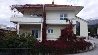 Appartements Maja - 100 from the beach: A1- Galebovo krilo (2+2), A2-Uzorita (2+2), SA1(2) Podgora - Riviera de Makarska 